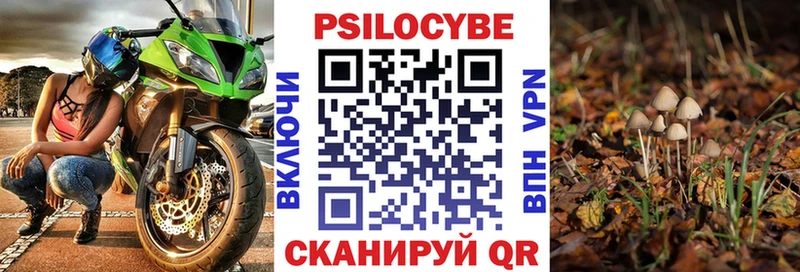 Галлюциногенные грибы мицелий  Новомичуринск 