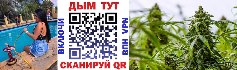 даркнет сайт Новомичуринск Шишки марихуана Ganja